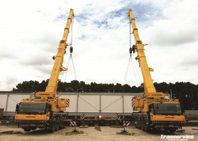 LTM 1100 4.2